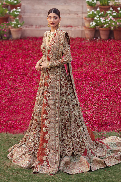 Suffuse Luxe AAB-E-ZAR '22 Moira