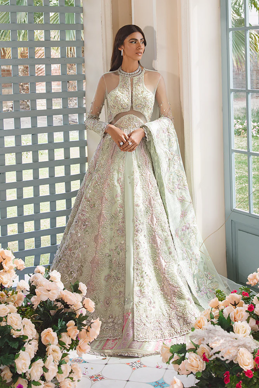 Suffuse Luxe AAB-E-ZAR '22 Funa