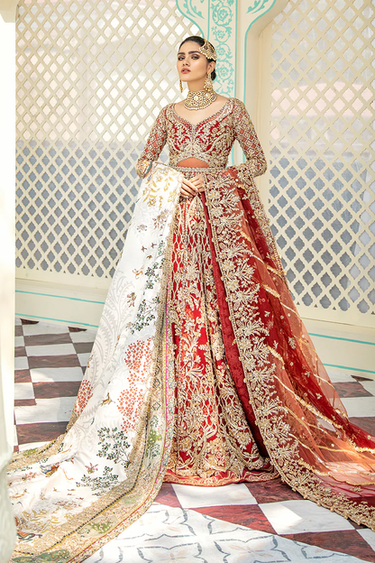 Suffuse Luxe AAB-E-ZAR '20 Scarlet